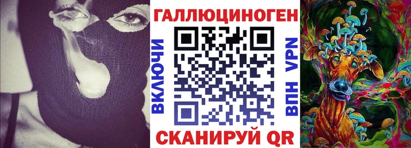 где можно купить   Нязепетровск  кракен вход  Галлюциногенные грибы мухоморы 